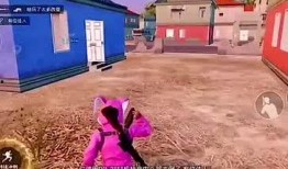 和平精英大盘鸡最新爆料,全新爆料揭秘神秘大盘鸡玩法